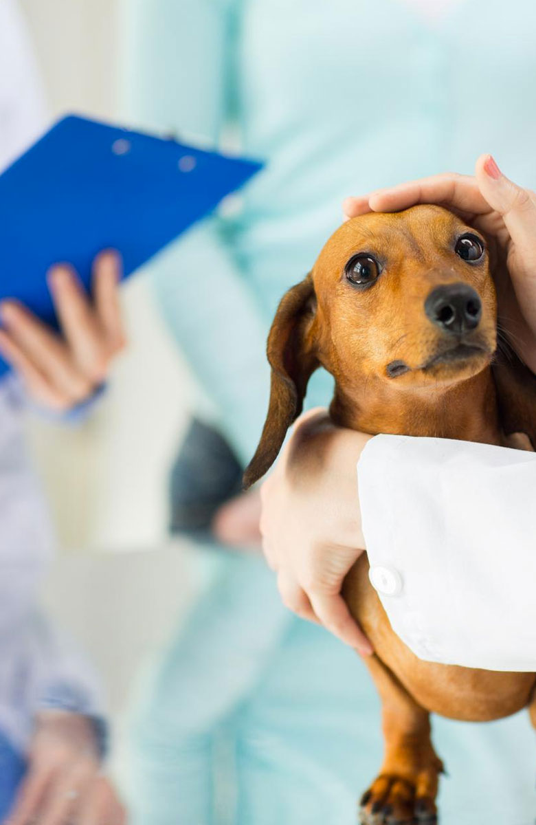 CONTRAT D'ASSURANCE